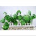 Leaf Garland Plastic Green Plant Vine Foliage Home Garden Decoration 79inch Ivy   352338174863
